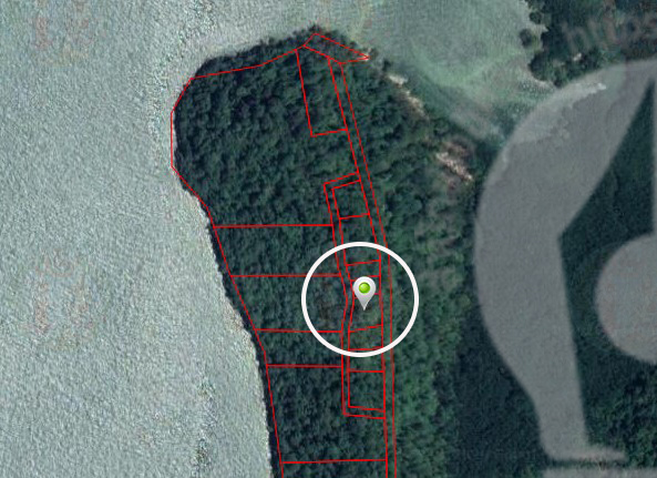 pictreeeeeee0318 3 63