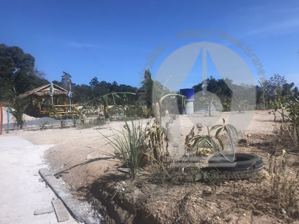 pictreeeeeee033 3 16