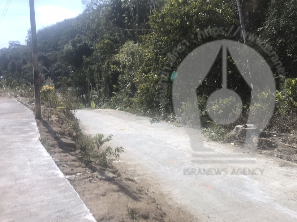 pictreeeeeee043 3 16