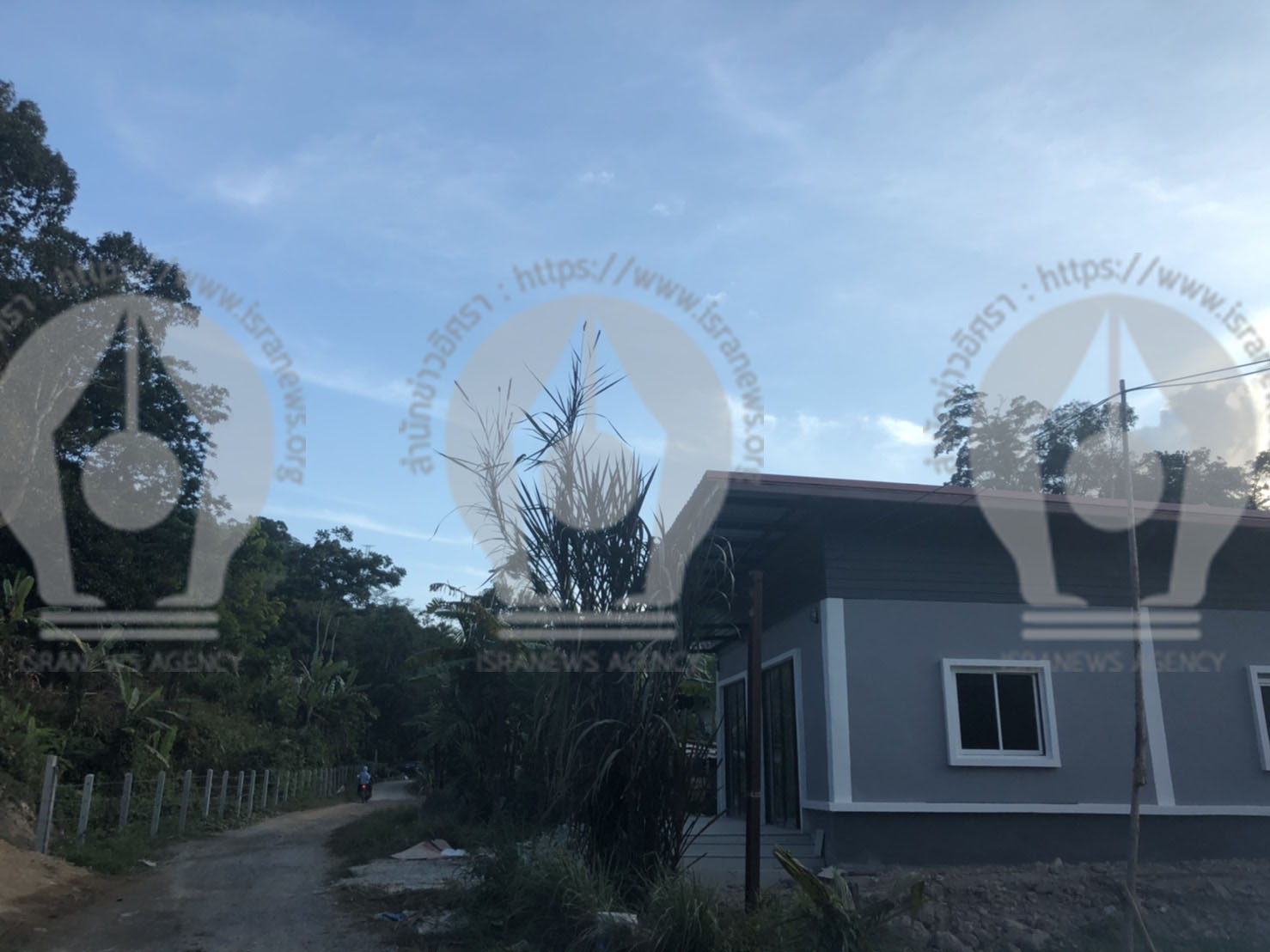 picytrreerrrrrrr9 3 63