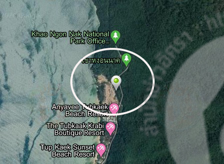 pictreeessdsds0010 5 63