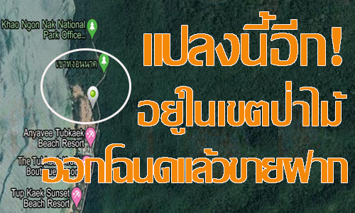 pictreeessdsds00ccc10 5 63