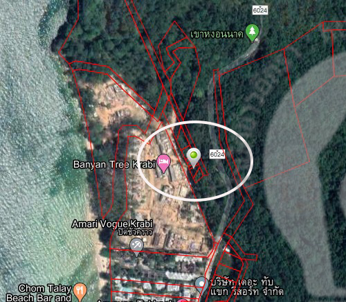 pictreeessdsds022010 5 63