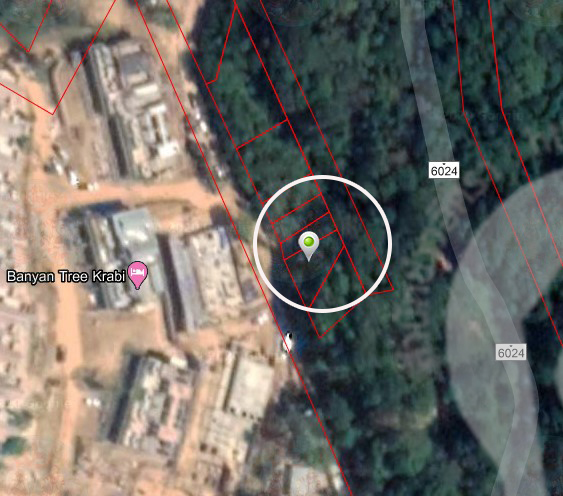 pictreeessdsds022dddd010 5 63