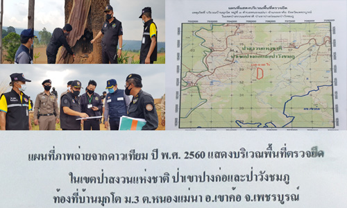 pictreerere0996901 5 63