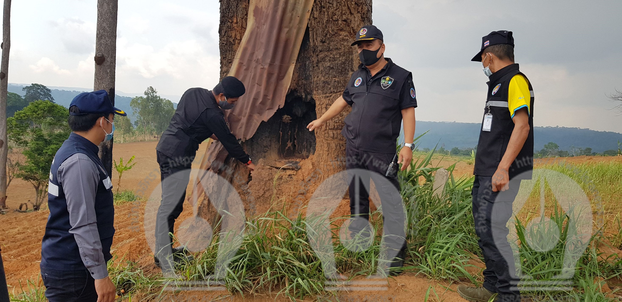 pictreerere0ccc6ddd61 5 63