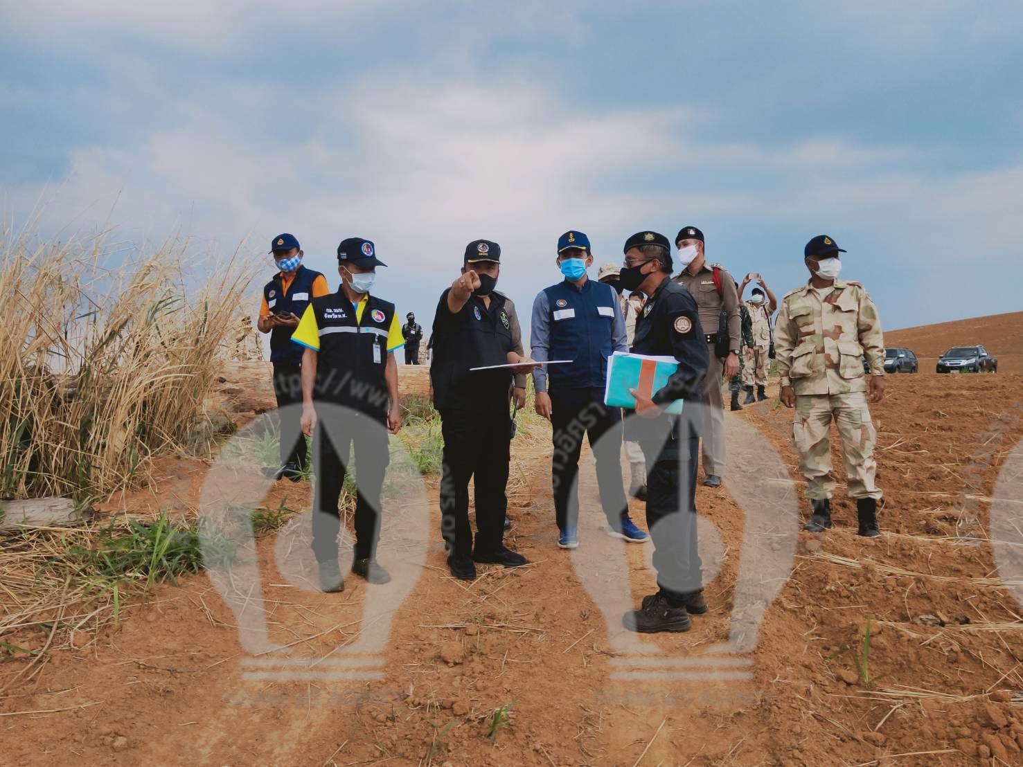 pictreerere0ddd01 5 63