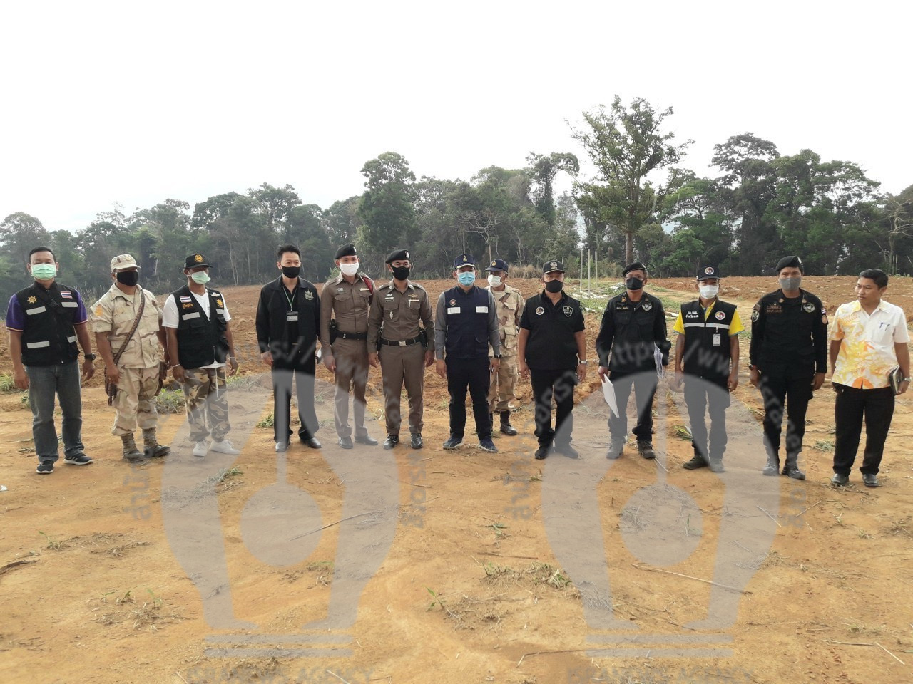 pictreerere0ssssccc661 5 63