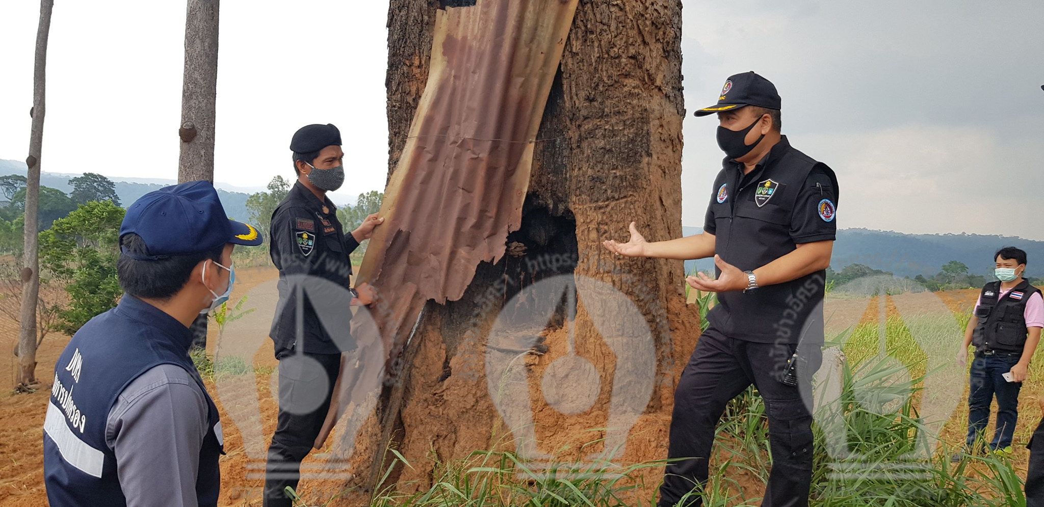 picyreteeeeee0030 4 63