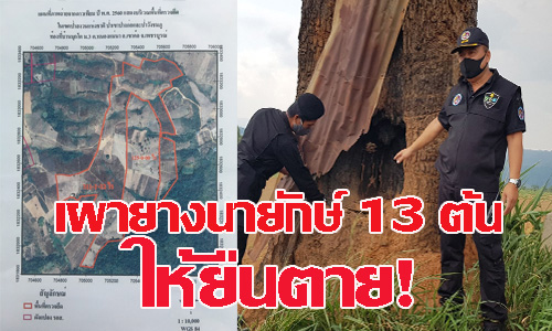 picyreteeeeee00dddddsssssdd30 4 63