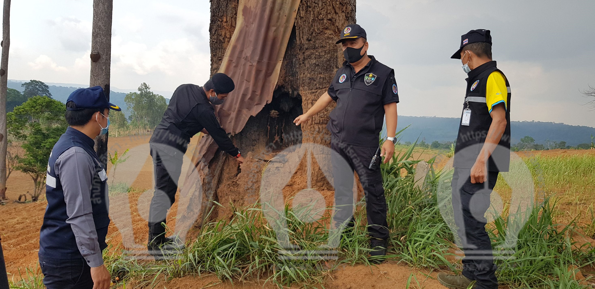 picyreteeeeee30 4 63