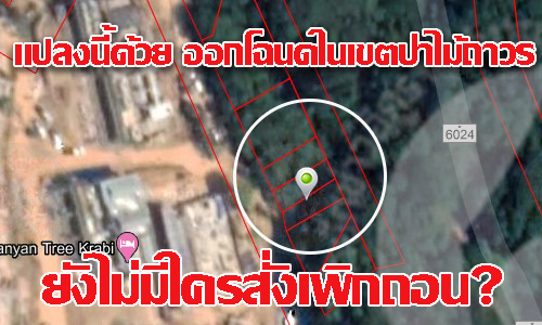 pictreeeeee06607 5 63