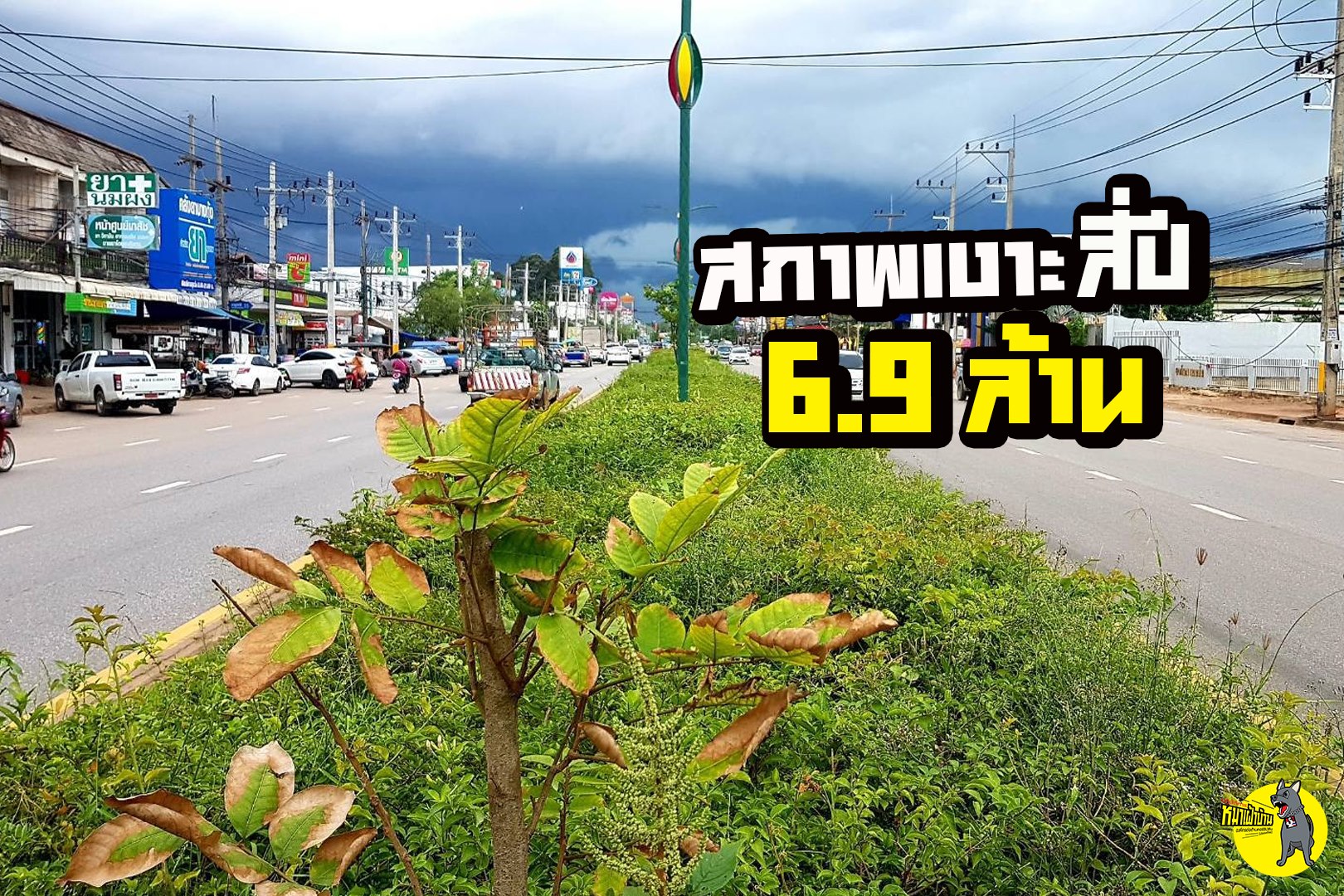 107948947 3370608346304544 8239879218143858156 o