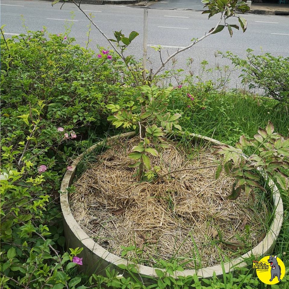 108211772 3370608606304518 8843341959707686442 o