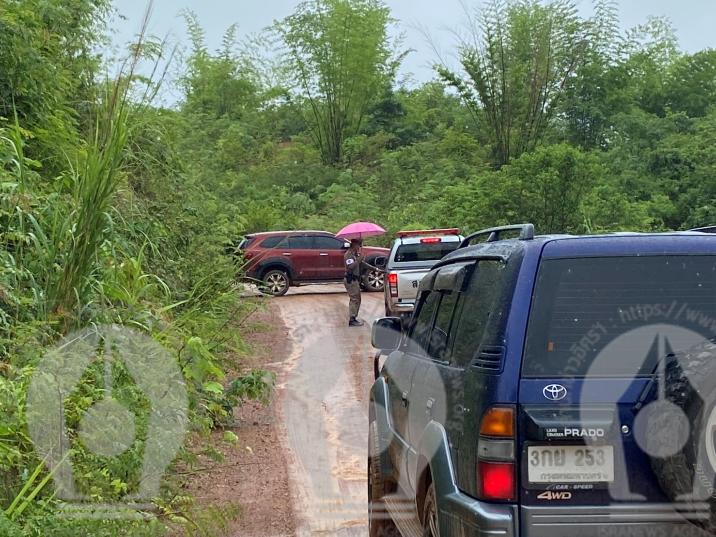 piclaodhy0mmm019 6 63