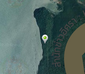 picmujikolol0013 7 63