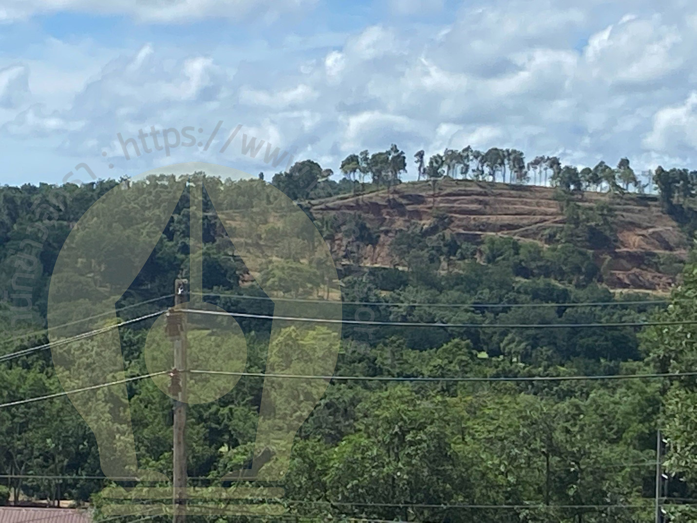 picpicgdtyhyhyh14 7 63