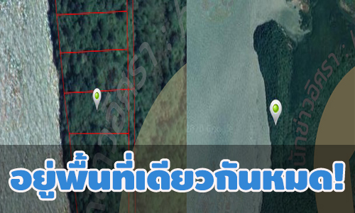 picptgtgtguyjujuj13 7 63