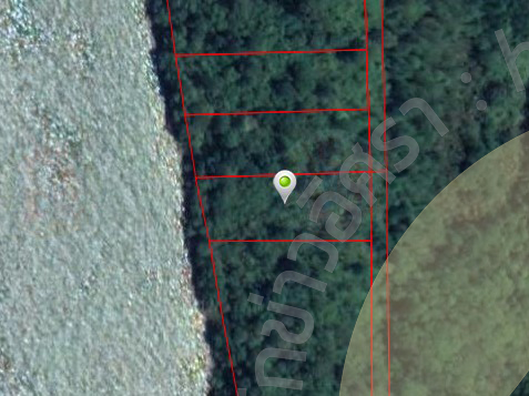 picshondf0696969ccccc30 6 63