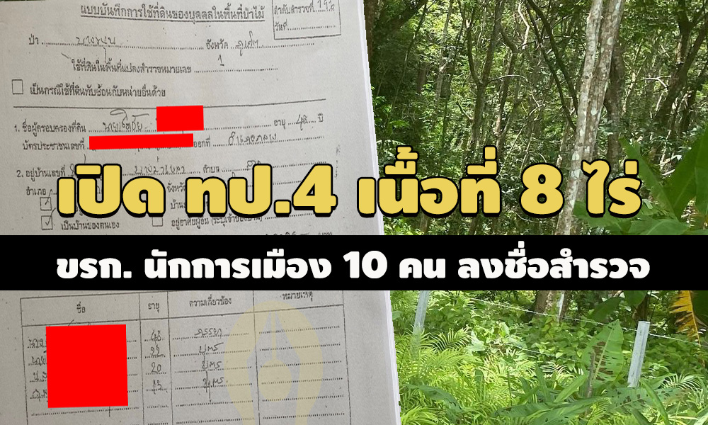 pictreeedededdedede16 9 63