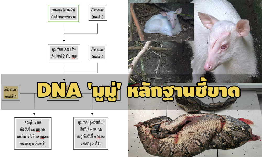 picdannsdsds22 10 63