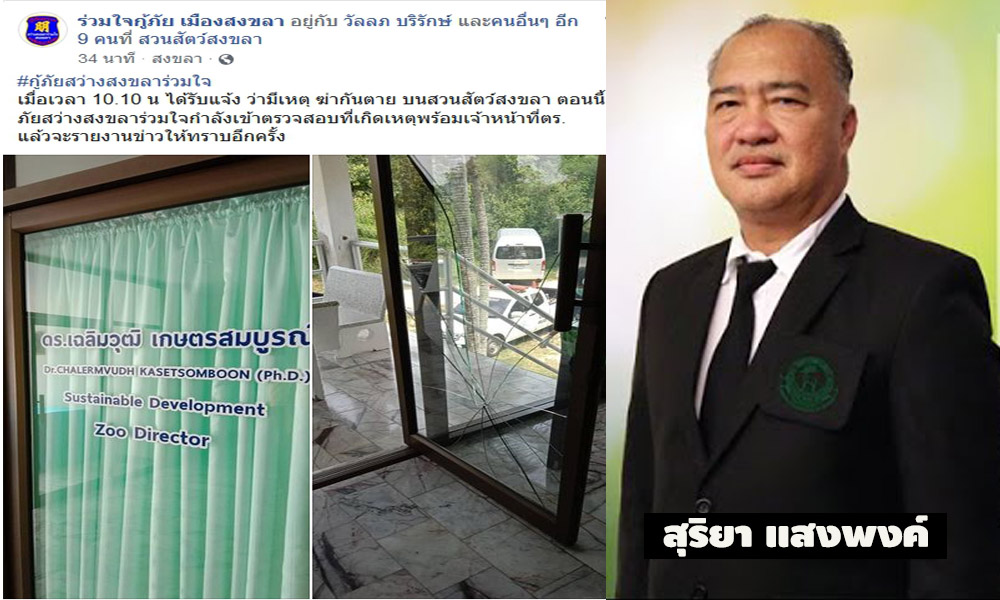 picdssdfsdadasdasdadadsaadsasdasads3 10 63