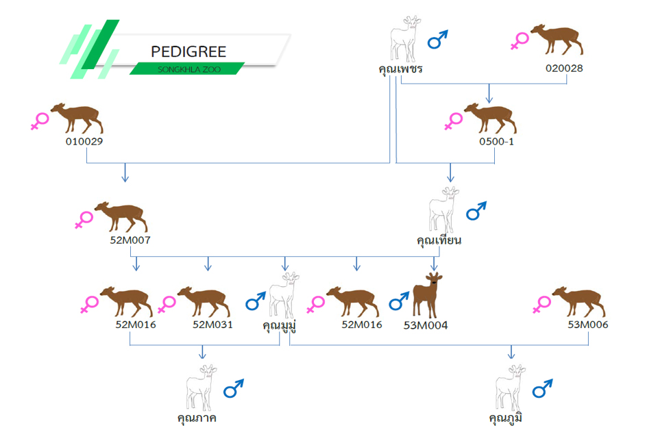 pickassaa0063ddddd9024 10 693