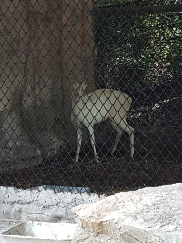 pickassaa006ddddd39024 10 693