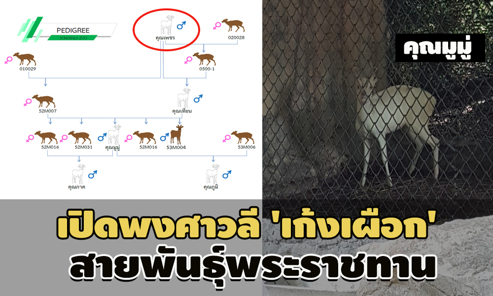 pickassaacccccc0063ddddd9024 10 693