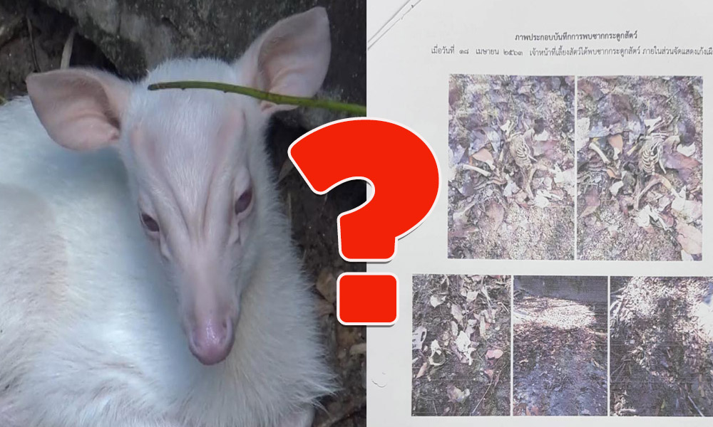 pickioujyhyhbyhyh4 10 63