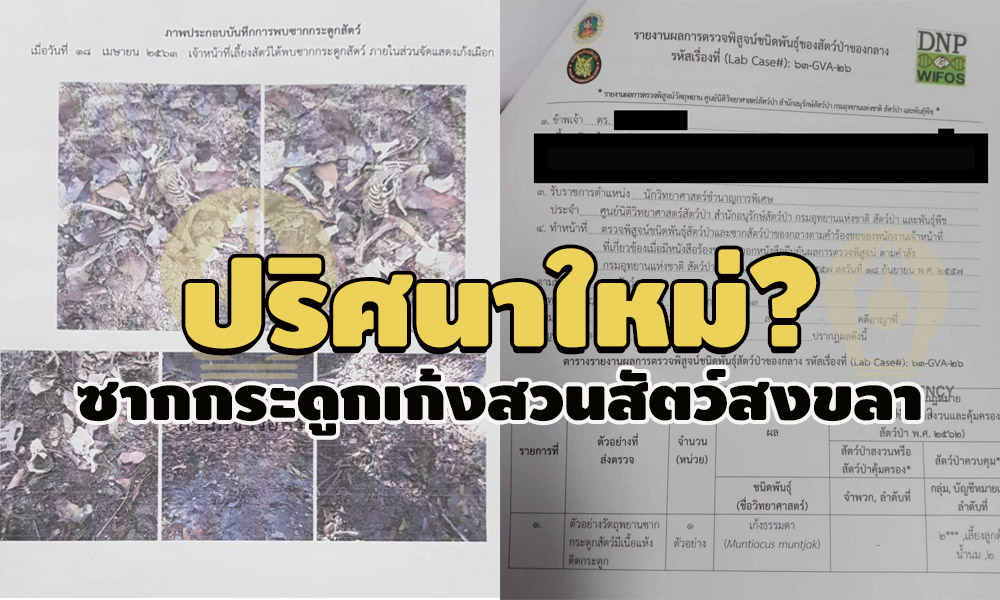 pickouiyhtgtgtgtg3 10 63