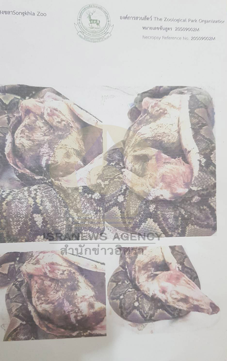 pickuytgrfrfrf5 10 63