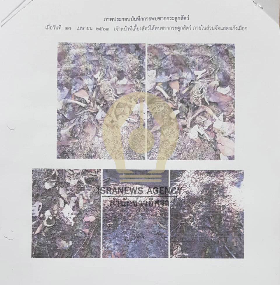 picskdsdsdsdsadasdasdasdasd3 10 63