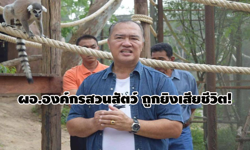 picssdasdasdsadsadsadsadsa