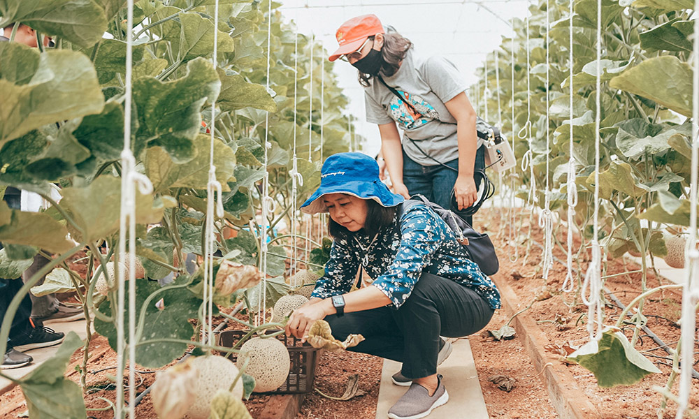 081020 Wang Nam Khiao