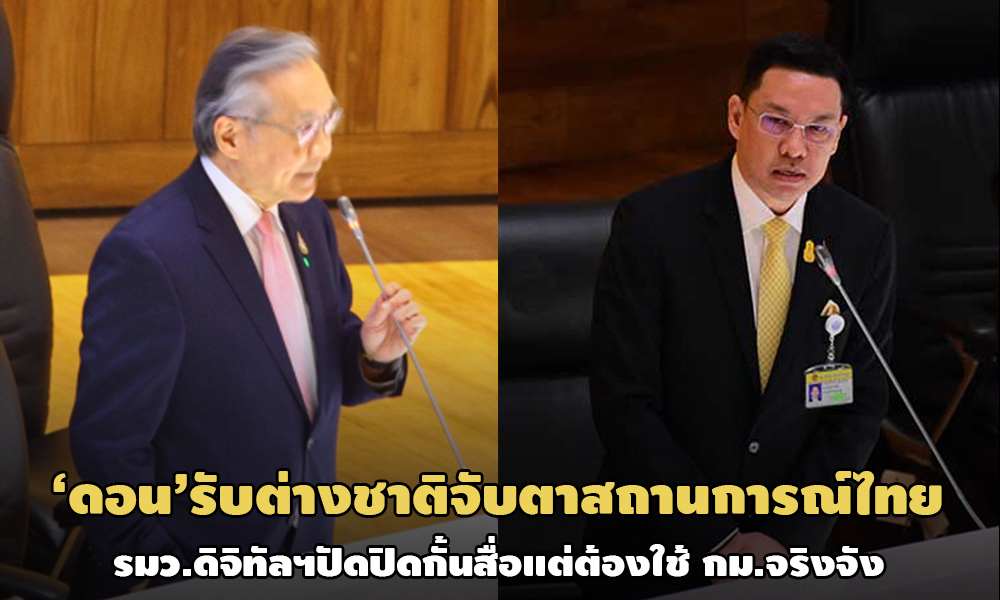 PIC donbee 27 10 63 81