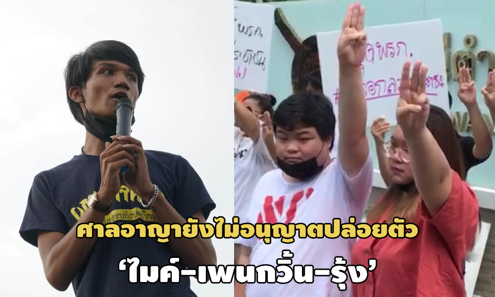 PIC micrungpenquin 26 10 63 1