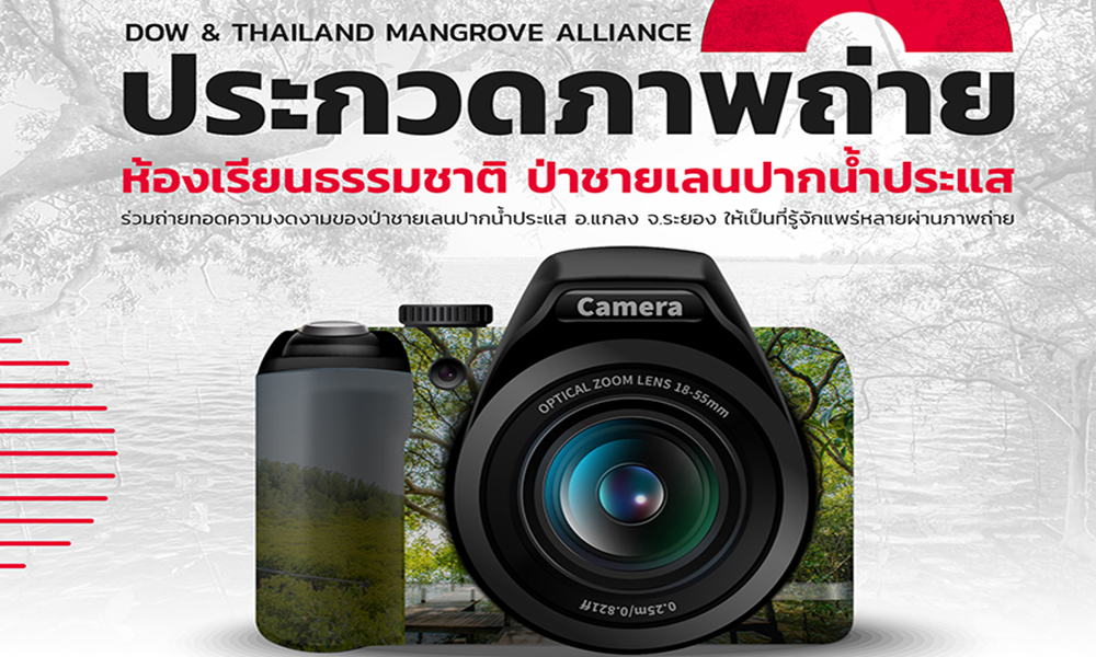 Photo Contes dow2210main