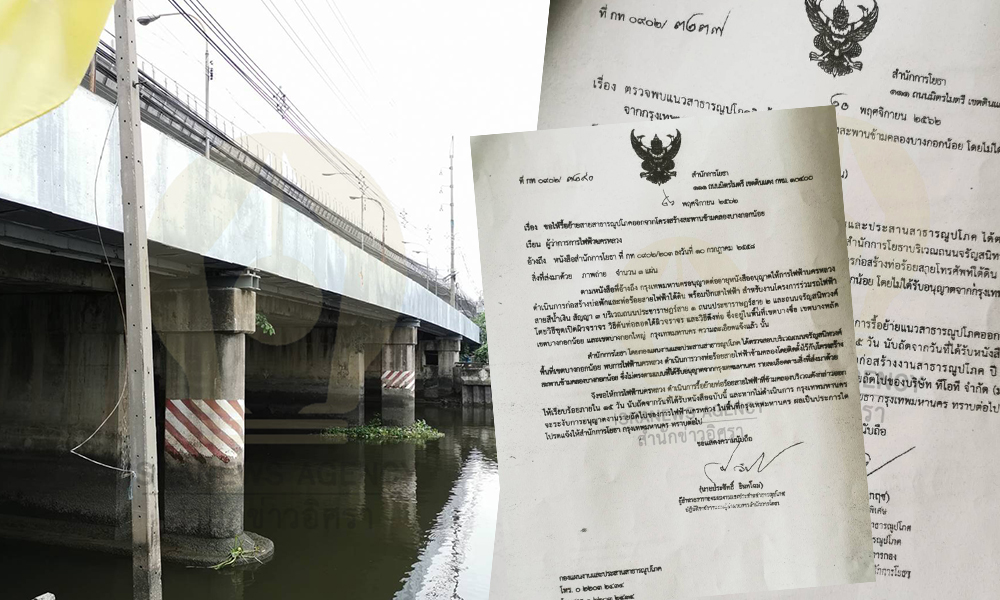 tot pea 15 10 20 pic