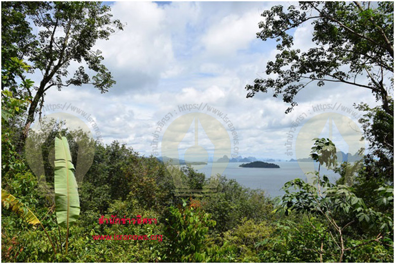 PIC อกแปลงอาวนาง 4