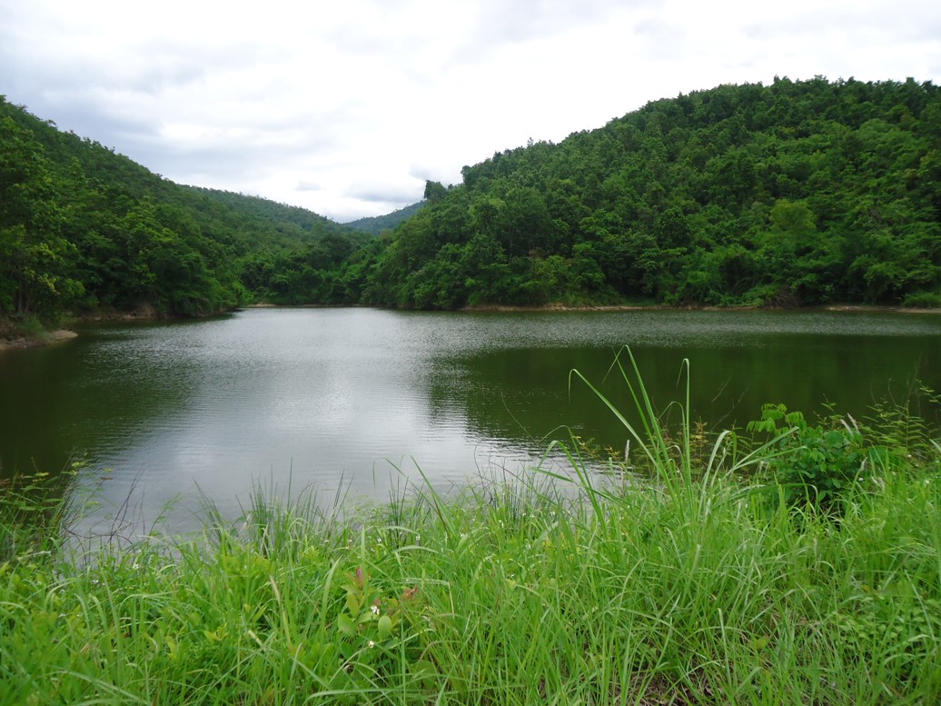 6 อ่างเก็บน้ำม่วงชุมหลังจากขุดลอกเเล้ว