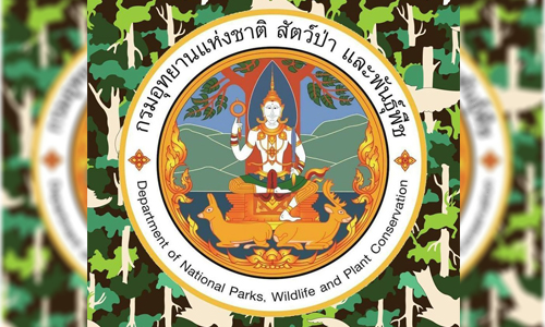 PIC animalforest 25 3 63 1