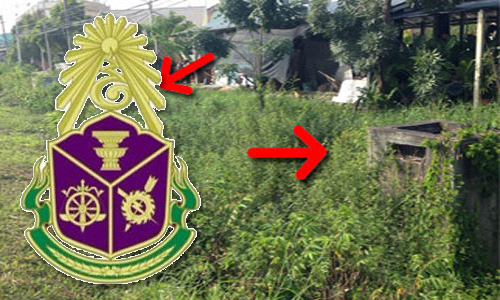 PIC bumbud 12 3 63 7