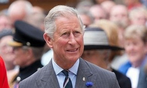 PIC princecharls 25 3 63 1