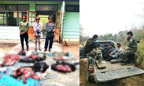 PIC sakanimal 26 3 63 1