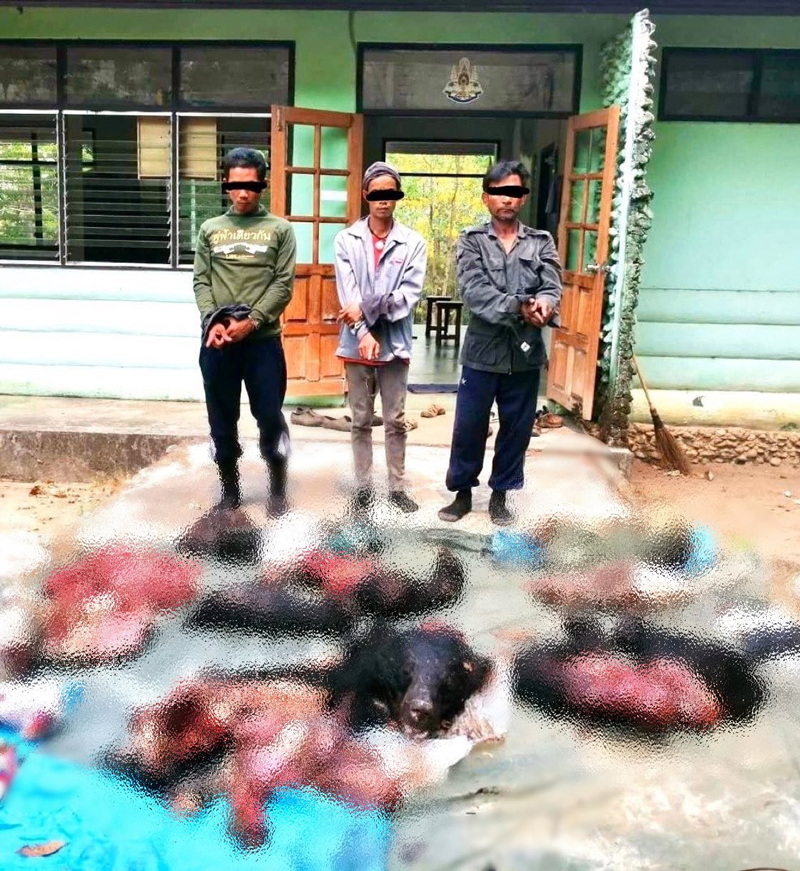 PIC จับสามพรานห้วยขาแข้ง 2