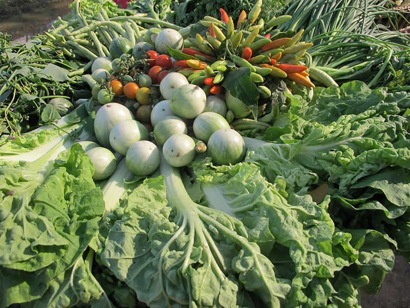 10 ผลผลิตจากเกษตรทฤษฎีใหม่2