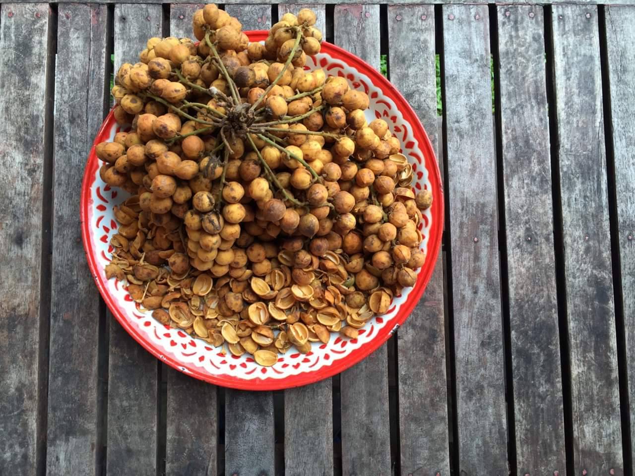 จำปูลิง