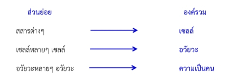 2020.05.07 15 24 08covid