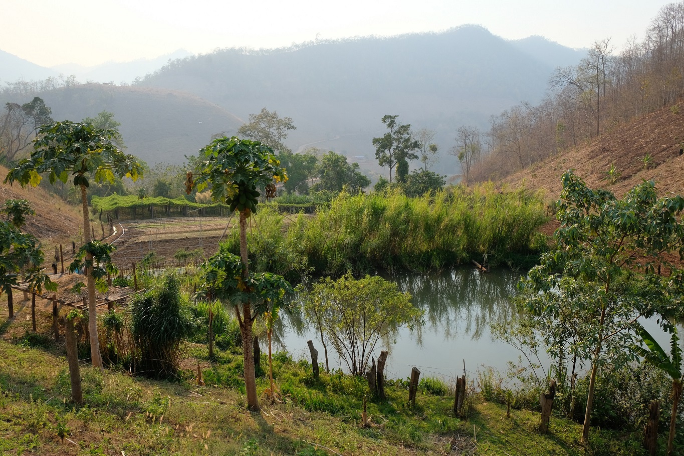 3. บ่อน้ำที่พ่อหลวงมนตรีขุดไว้ ขนาด 1525 เมตร